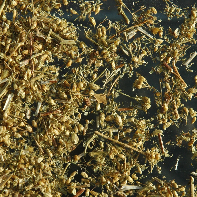 Achillée Millefeuille (100g)