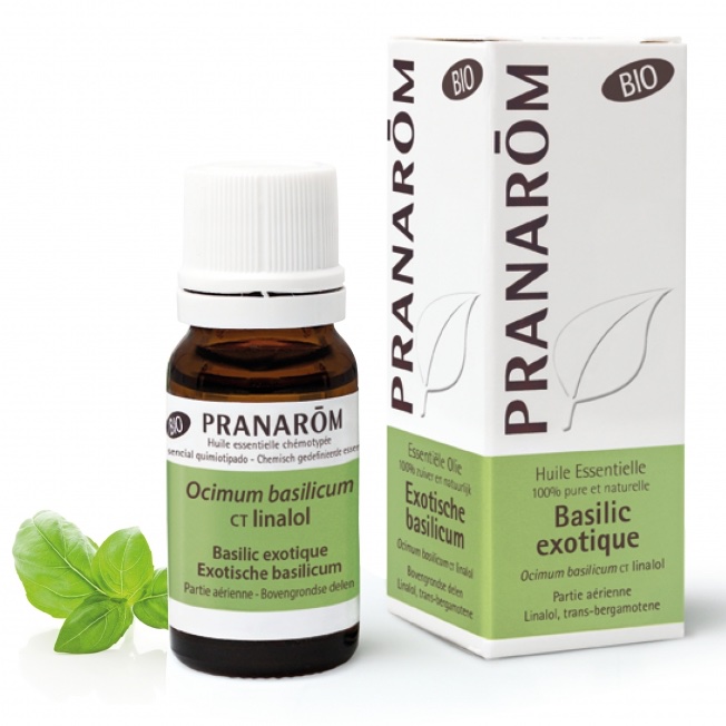 Basilic exotique - CT linalol Pranarom®