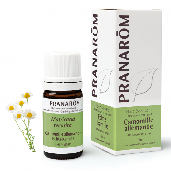 Camomille allemande Bio Pranarom®