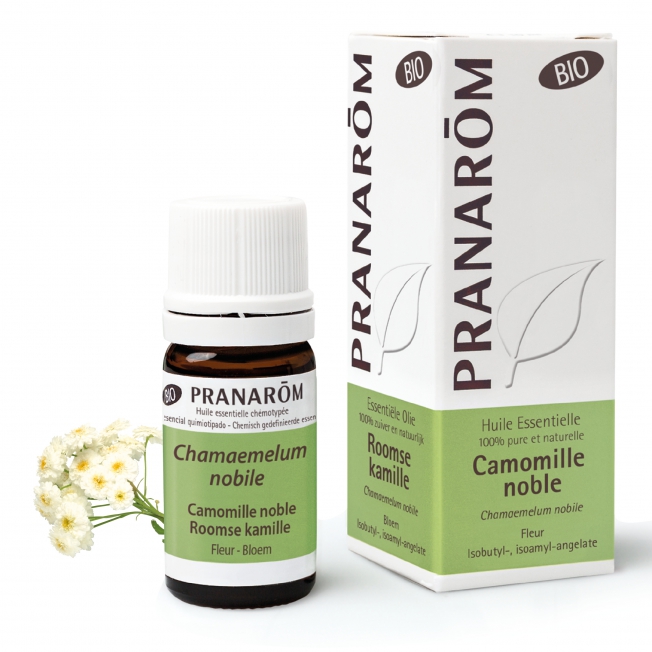 Camomille noble Bio Pranarom®