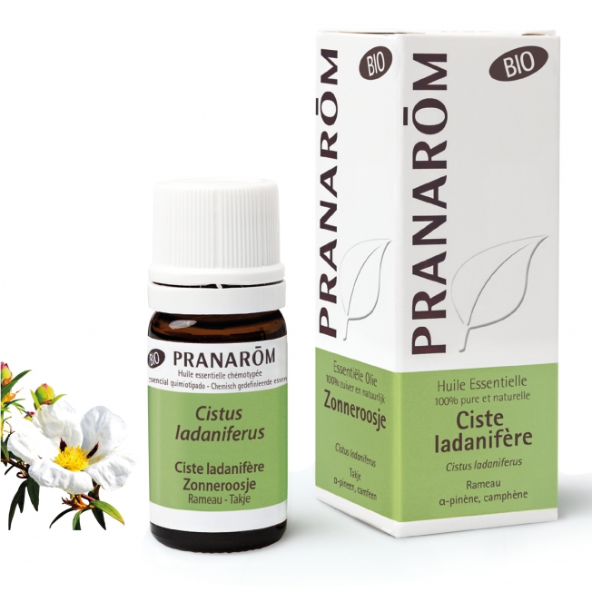 Ciste Ladanifère Bio Pranarom®