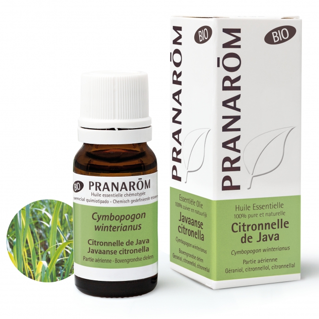 Citronnelle de Java Pranarom®