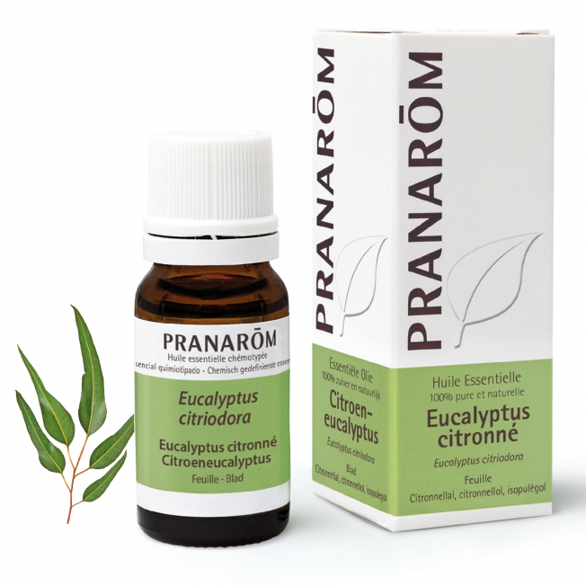 Eucalyptus Citronné Bio Pranarom®