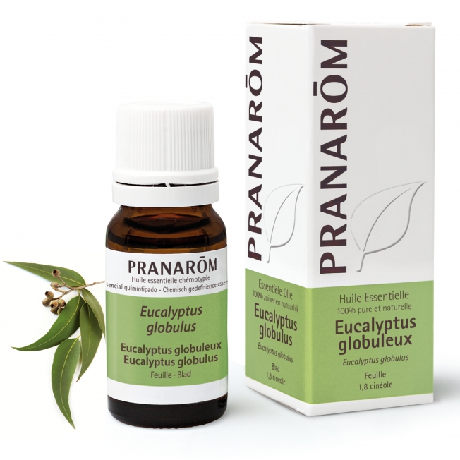 Eucalyptus Globuleux Bio Pranarom®