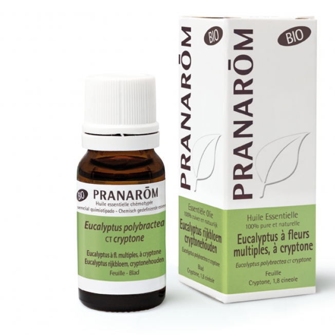 Eucalyptus à fleurs multiples Bio Pranarom®