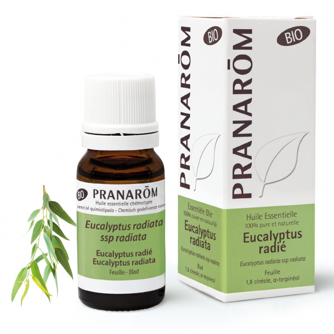 Eucalyptus Radié Bio Pranarom®
