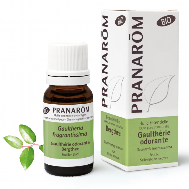 Gaulthérie odorante Bio Pranarom®