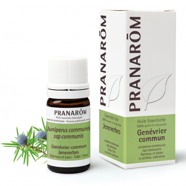 Géranium rosat de bourbon Pranarom®