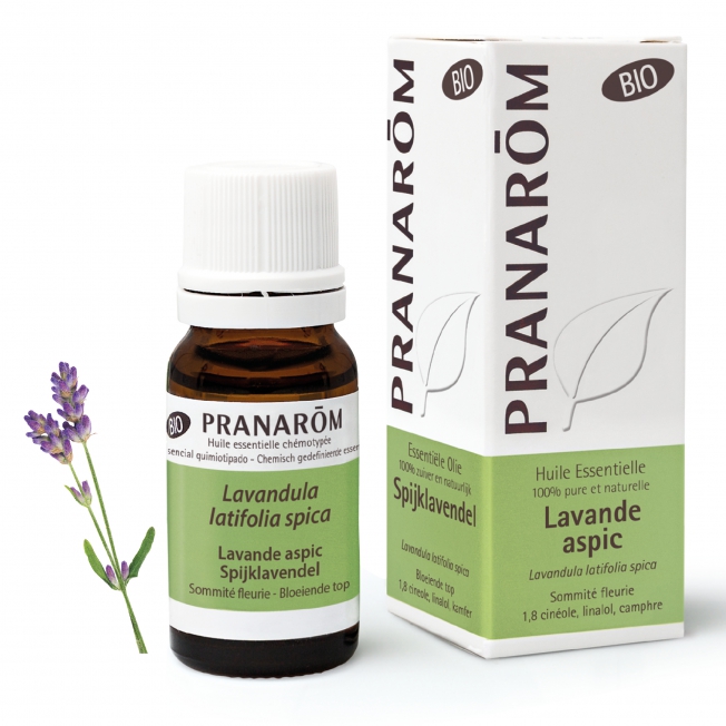 Lavande aspic Bio Pranarom®