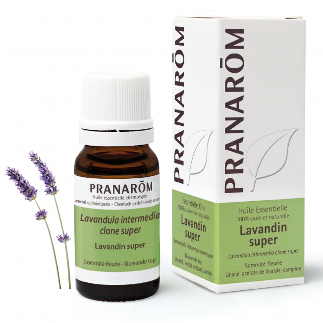 Lavandin super Bio Pranarom®