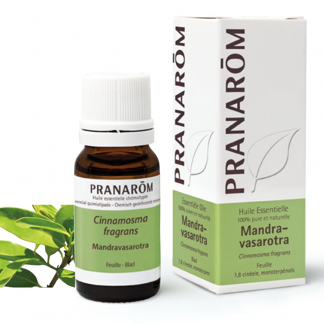 Mandravasarotra Pranarom®