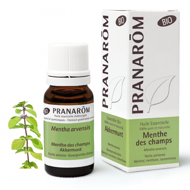 Menthe des champs Bio Pranarom®