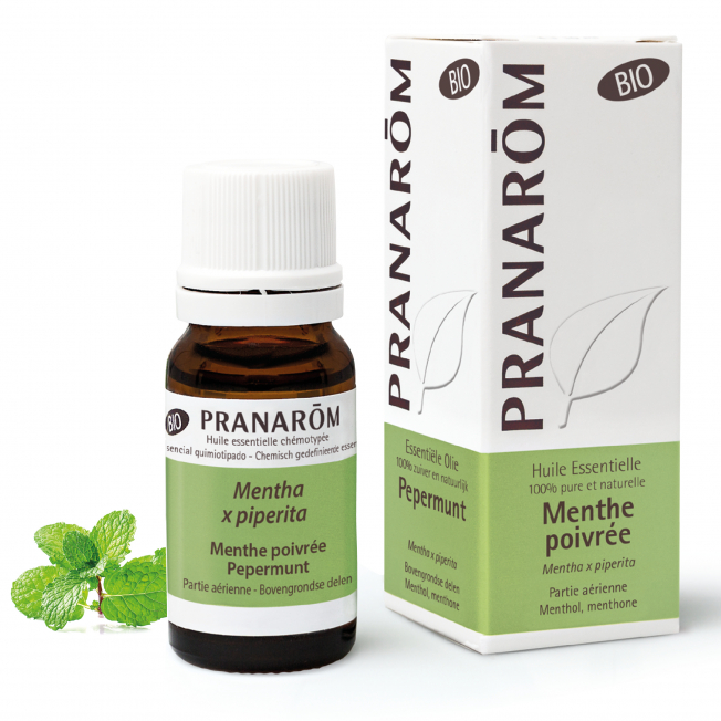 Menthe poivrée Bio Pranarom®