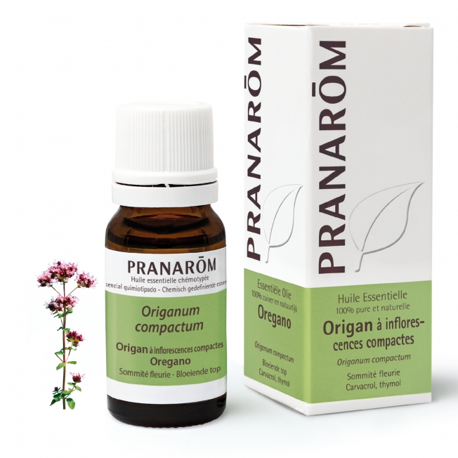 Origan à inflorescences compactes Bio Pranarom®