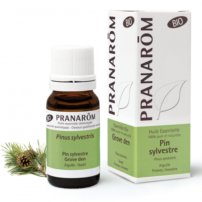 Pin sylvestre Bio Pranarom®
