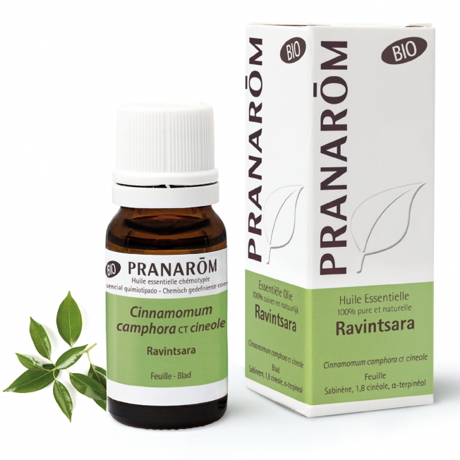 Ravintsara Bio Pranarom®