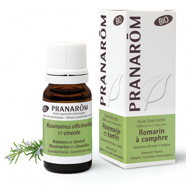 Romarin à camphre Bio Pranarom®