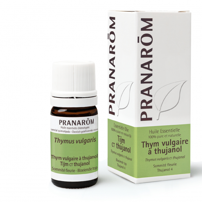 Thym vulgaire à thujanol Pranarom®