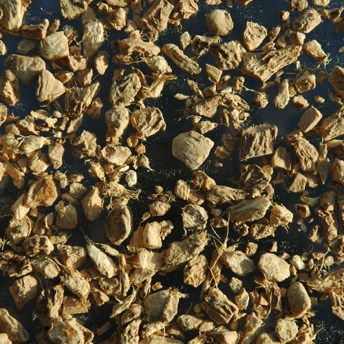 Gingembre (50g)