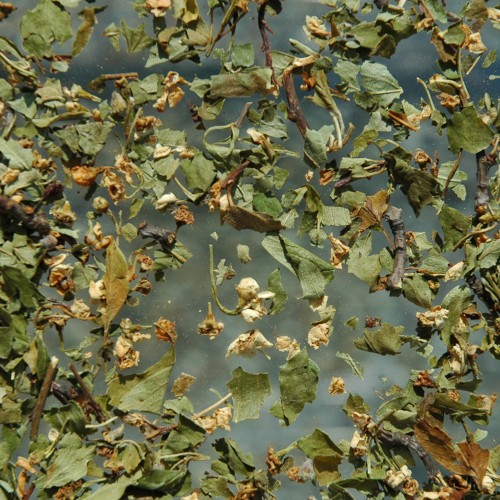 Aubépine fleurs (100g)