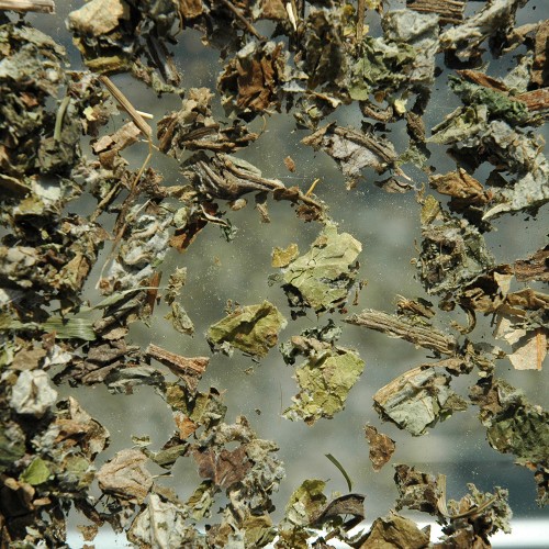 Bardane feuille (100g)