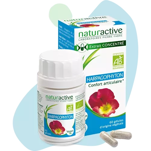 Harpagophyton Naturactive®