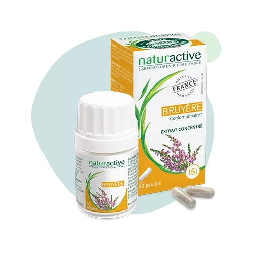 Bruyère Nacturactive®